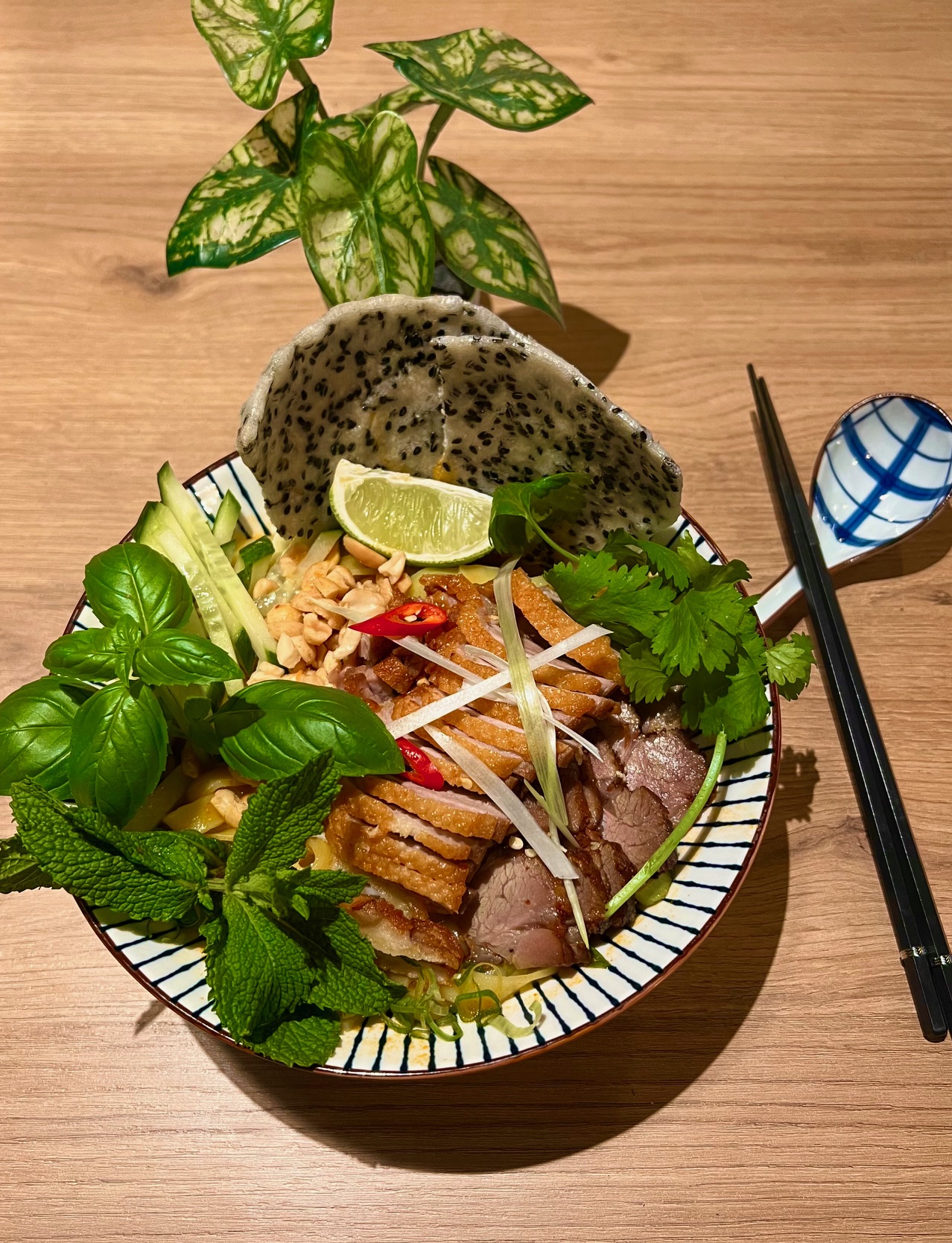 39. MYQUANG med and og xa xiu 39. Myquang And - Billede 1